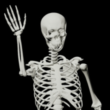 Skelton animation